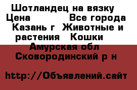 Шотландец на вязку › Цена ­ 1 000 - Все города, Казань г. Животные и растения » Кошки   . Амурская обл.,Сковородинский р-н